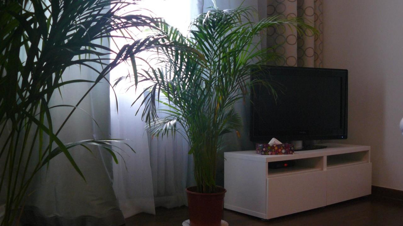 Апартаменты Apartament Chmielna Варшава-33